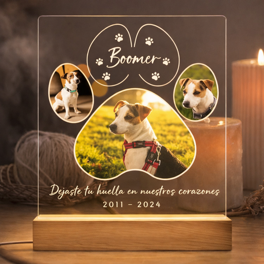 Eterpaw - Lámpara personalizada de perrito